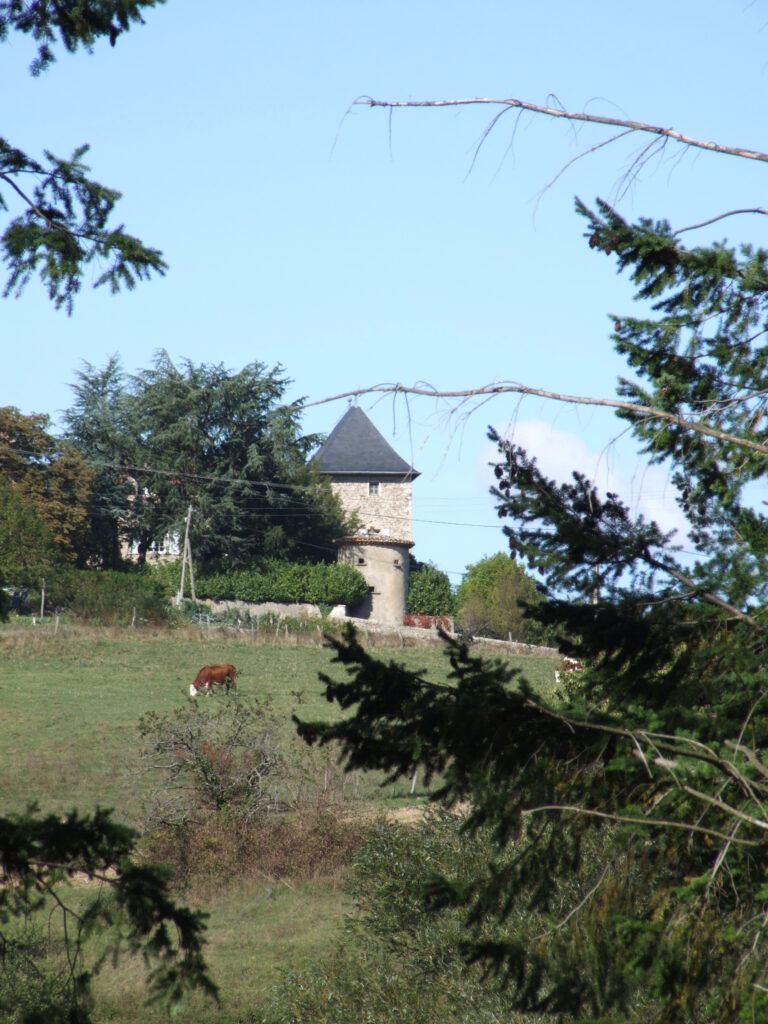 le château